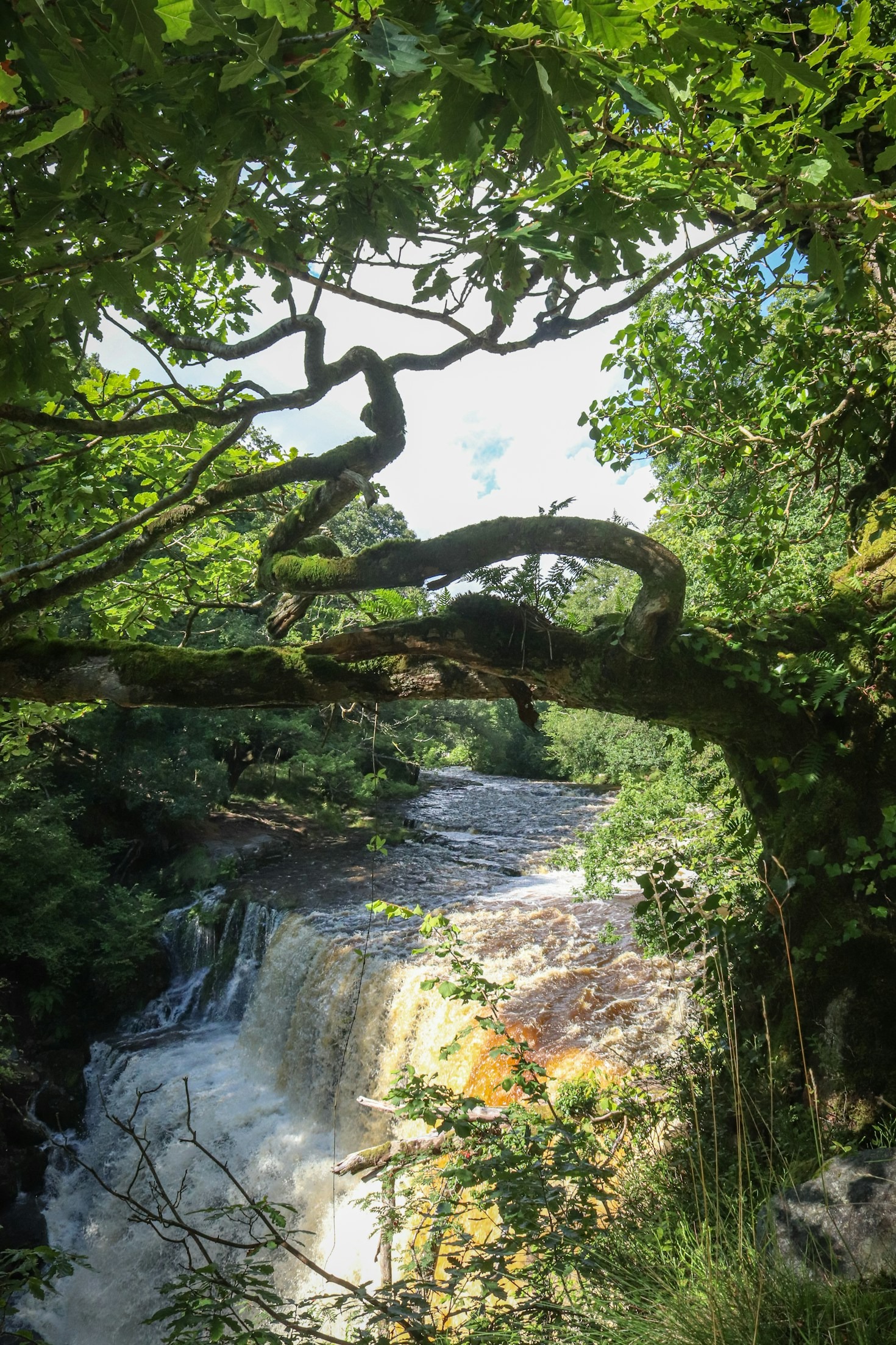 Aysén: un modelo de gestión ambiental exitosa